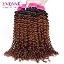 Top Quality Kinky Curly Ombre Brazilian Hair